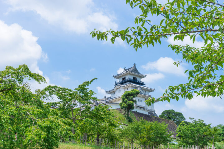 掛川城遠景